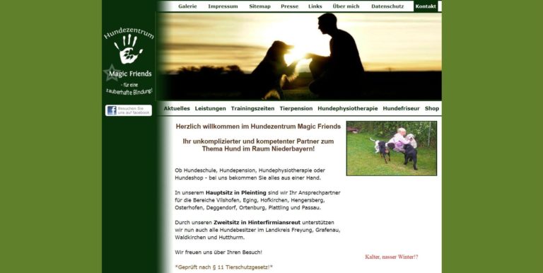 www.hs magicfriends.de  768x386
