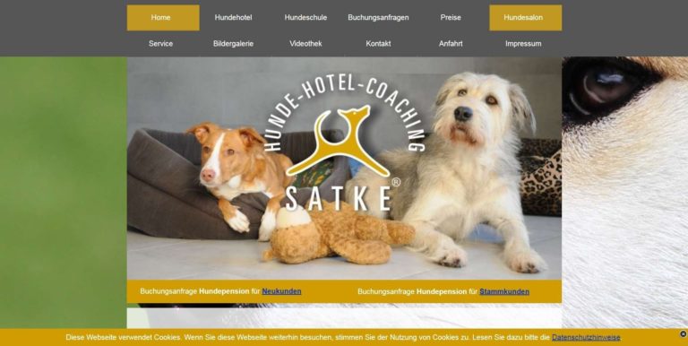 www.hundehotel satke.de  768x386