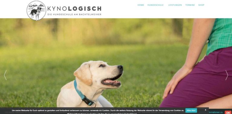 www.hundeschule bachtelweiher.de  768x377