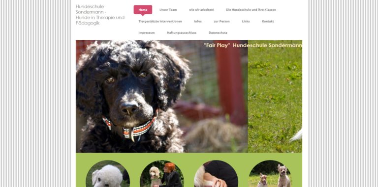 www.hundeschule sondermann.de  768x381