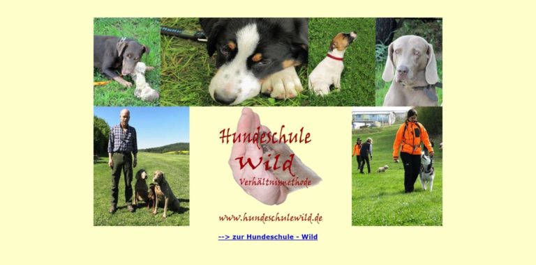 www.hundeschulewild.de  768x381