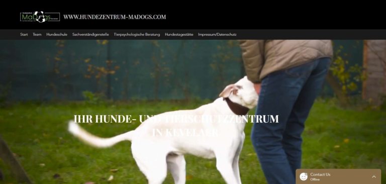 www.hundezentrum madogs.com  768x366