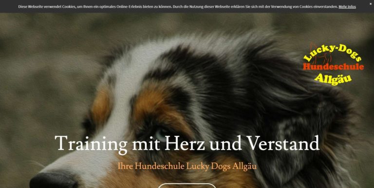 www.lucky dogs allgaeu.de  768x386