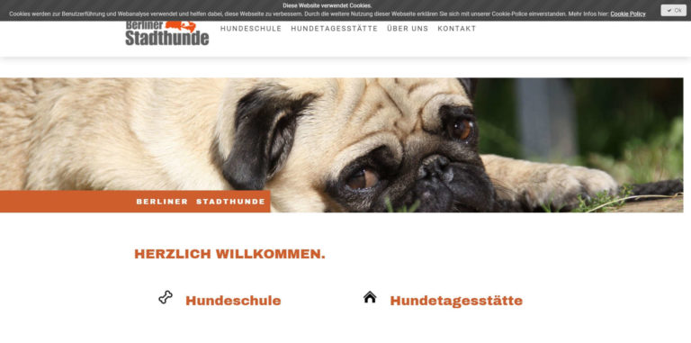 berliner stadthunde.de  768x381