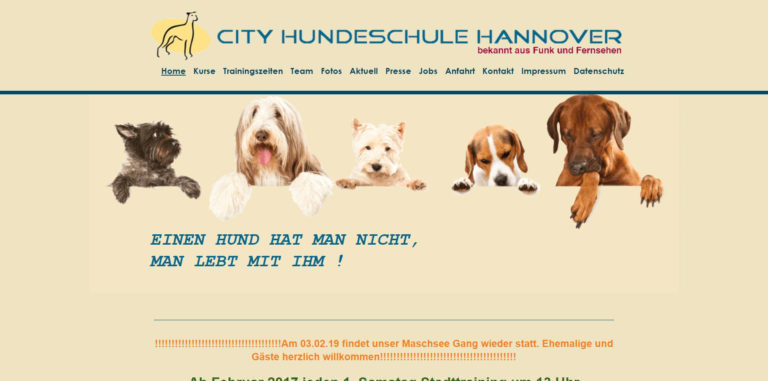 city hundeschule hannover.de 768x381