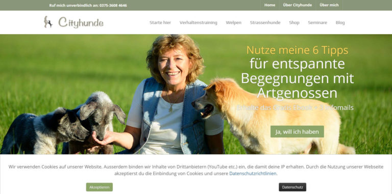 cityhunde.de  768x381