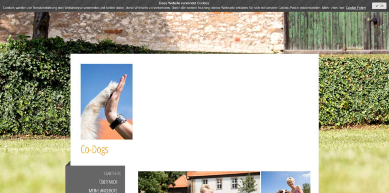 co dogs.de  768x381