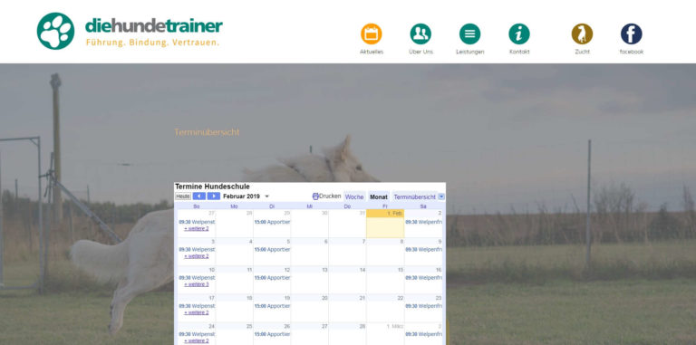 die hunde trainer.de 768x381
