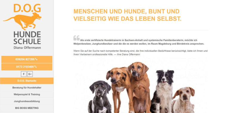 dog hundeschule.de  768x381
