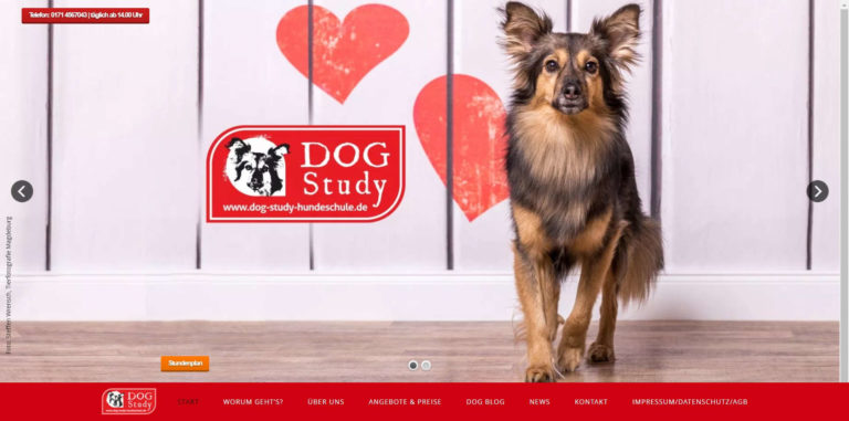 dog study hundeschule.de  768x381