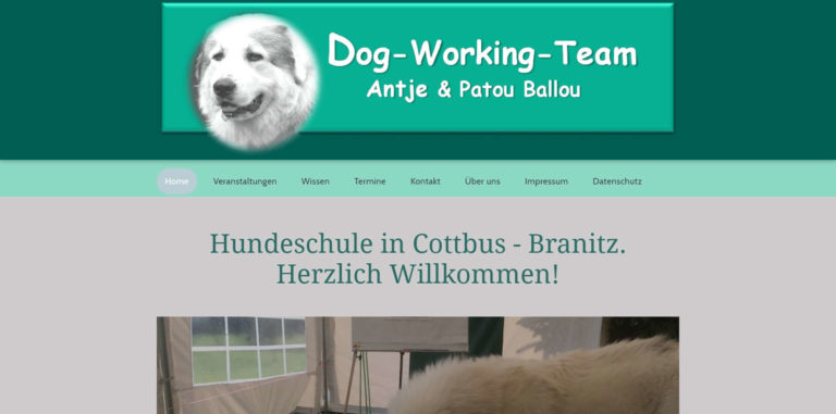 dog working team.de 768x381