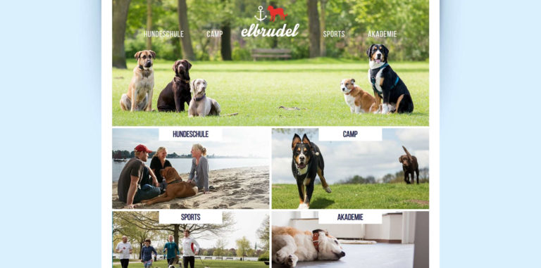 elbrudel.de 768x381