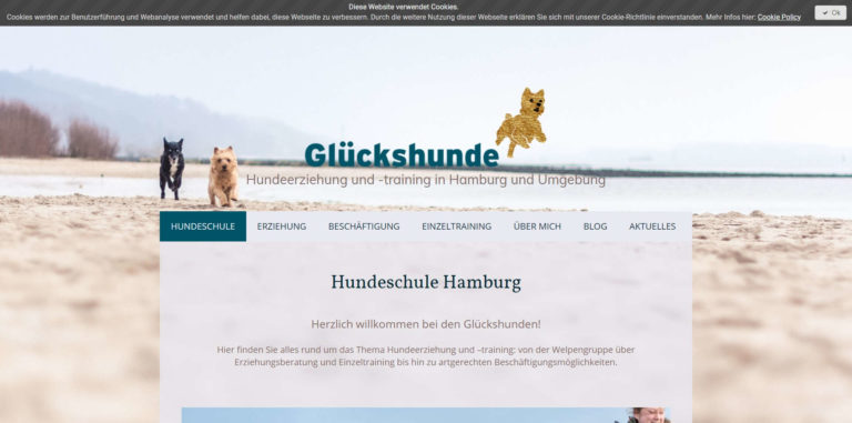 glueckshunde hamburg.de 768x381