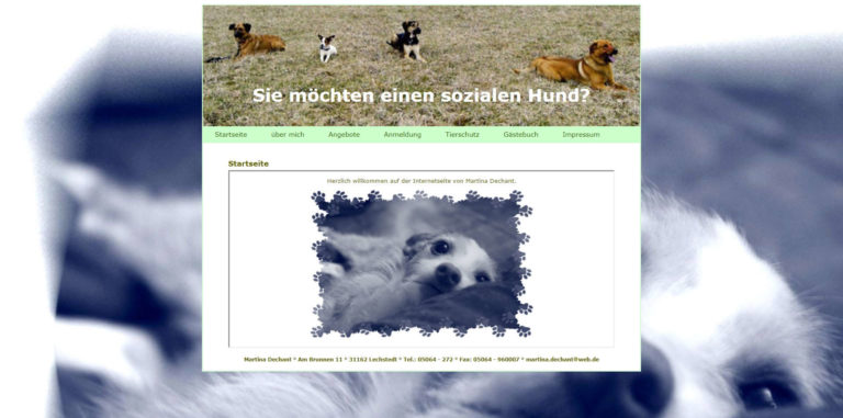 harmonie mit vier pfoten.de  768x381