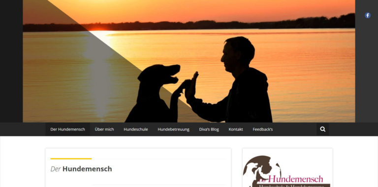 hunde mensch schule.de 768x381