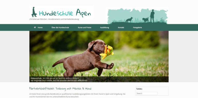 hundeschule apen.de  768x381
