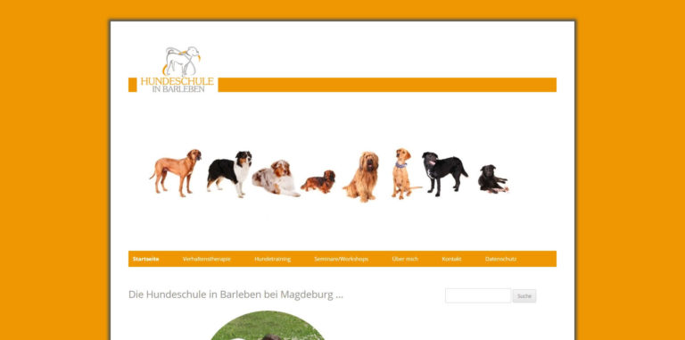 hundeschule barleben.de  768x381