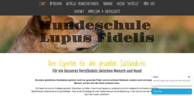 hundeschule bernburg.jimdo .com  768x381