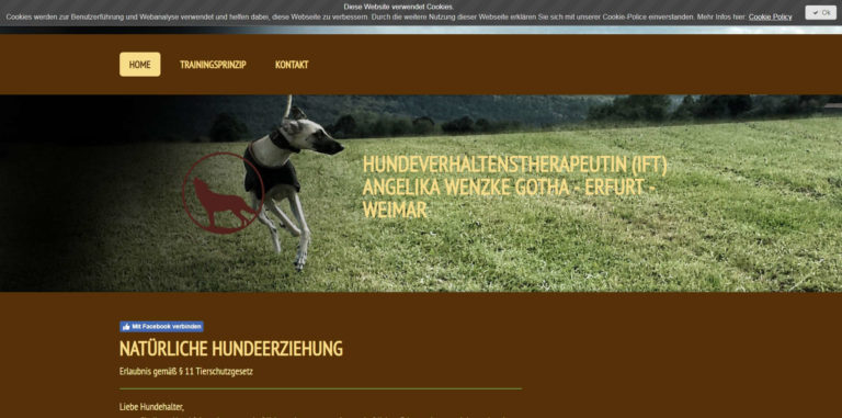 hundeschule erfurt.com  768x381