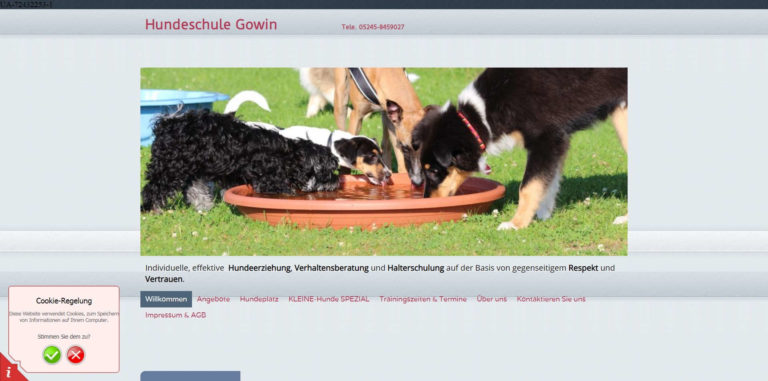 hundeschule guetersloh.com  768x381