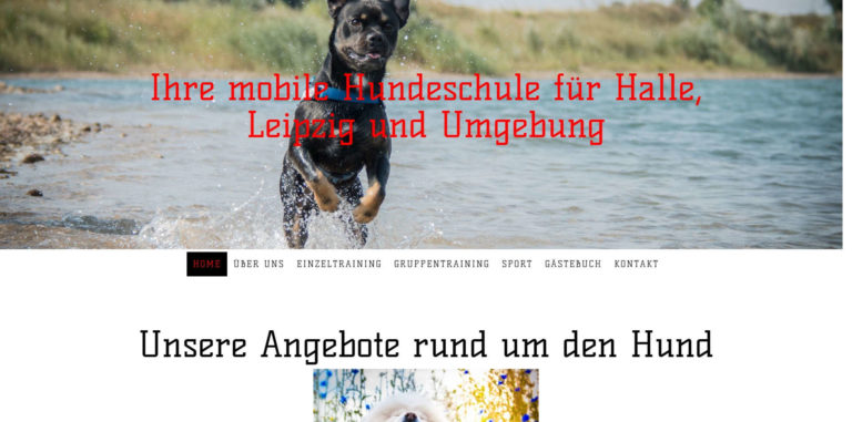 hundeschule halle leipzig.de  768x381
