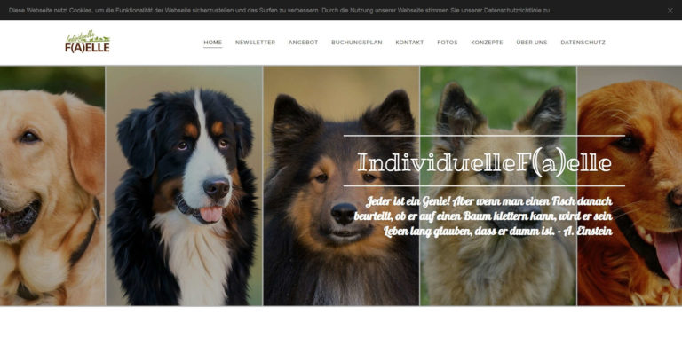 hundeschule hildesheim holle.de  768x381