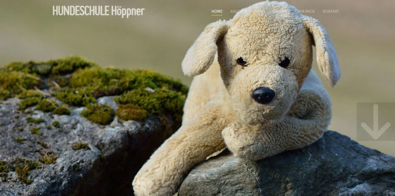 hundeschule hoeppner.de  768x381