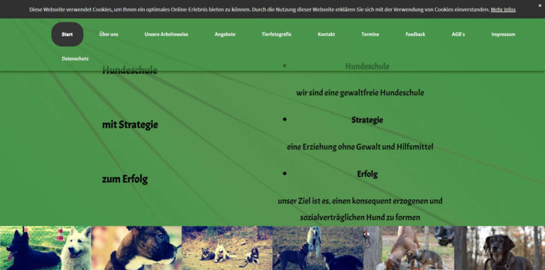 hundeschule mit strategie.de 768x381