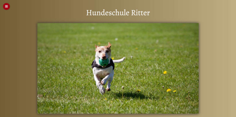 hundeschule ritter.de  768x381