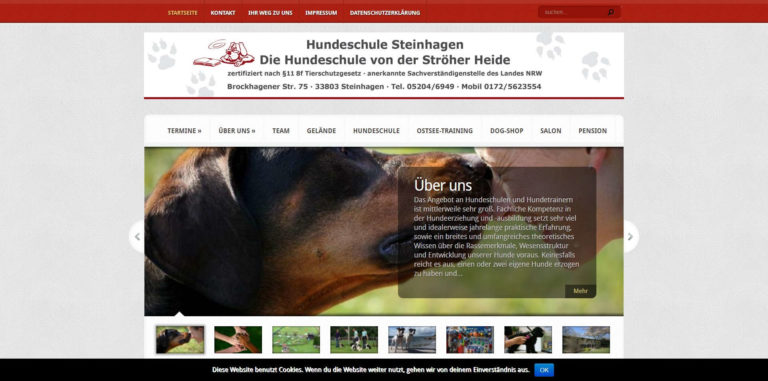 hundeschule steinhagen.de  768x381