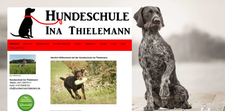 hundeschule thielemann.de 768x381
