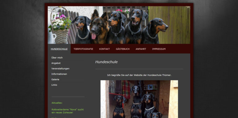 hundeschule thuemer.de  768x381