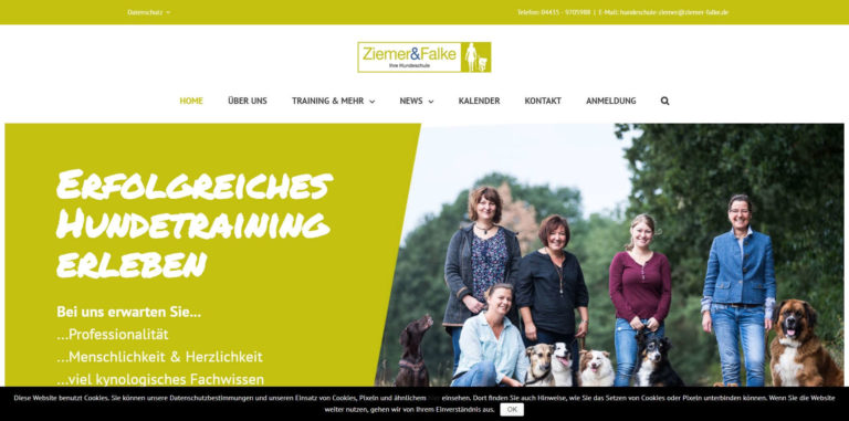 hundeschule ziemer.de  768x381