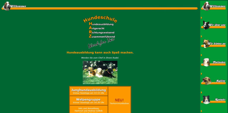 hundeschule.harz .de 768x381