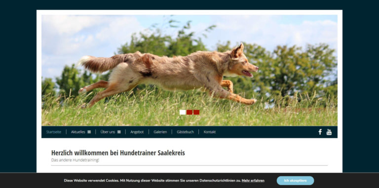 hundetrainer saalekreis.de  768x381