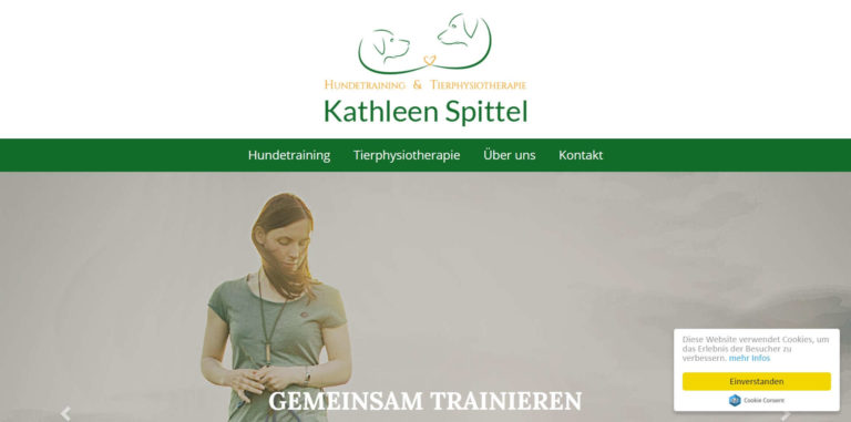 hundetraining tierphysio.de  768x381