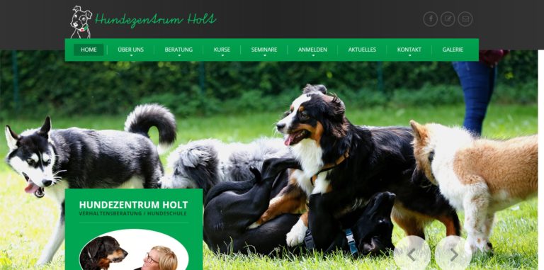hundezentrum holt.de  768x381