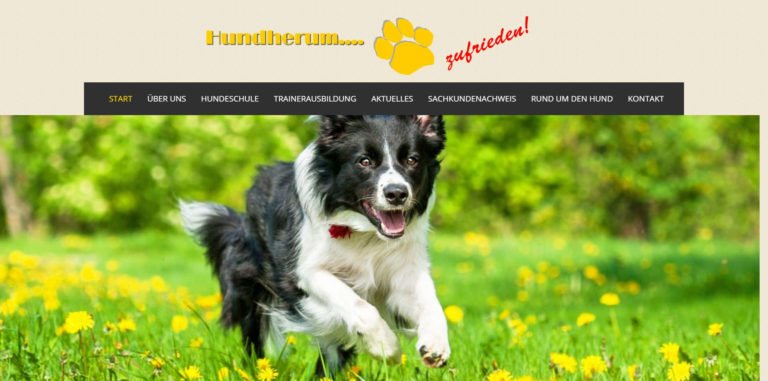hundherum zufrieden.de  768x381
