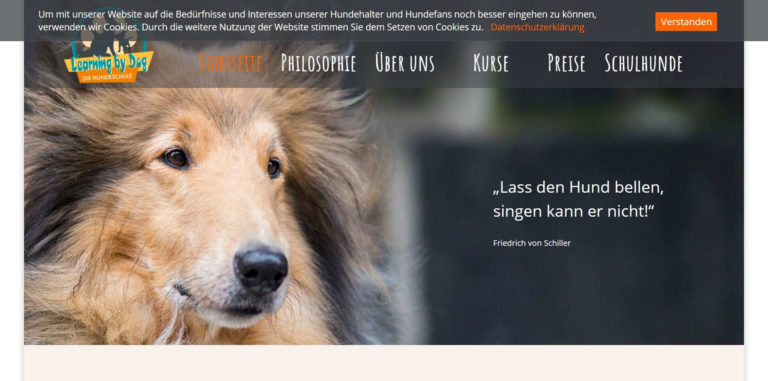 learning by dog.de 768x381