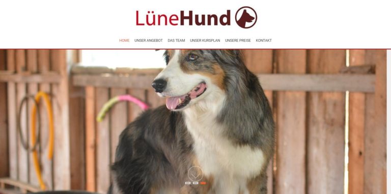 luenehund.de  768x381