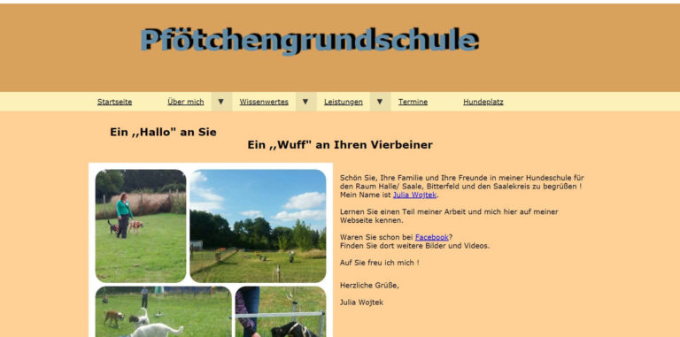 pfoetchengrundschule.de  768x381