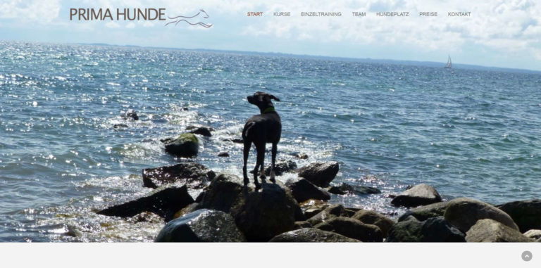 primahunde.de 768x381