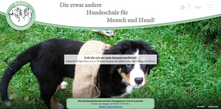 reso.training 768x381