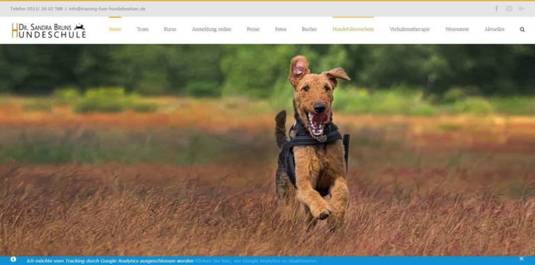training fuer hundebesitzer.de 768x381