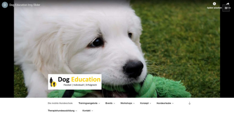 wordpress.dog education.de  768x381