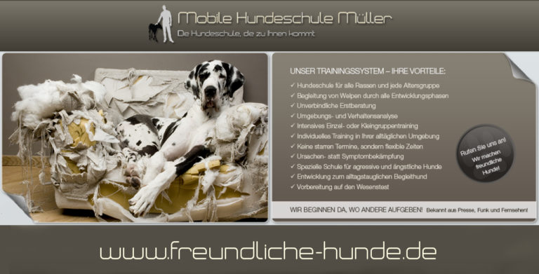 Facebook1ja1Neu2018 5 768x391