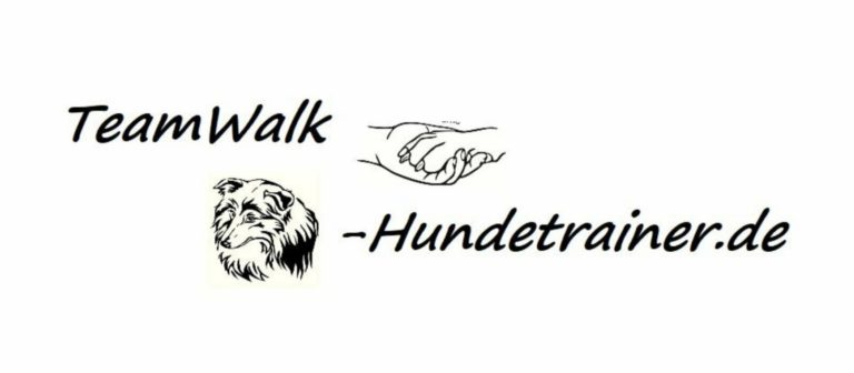 F85ED894 E7C3 4B86 A260 EFEF662D64B4 768x336