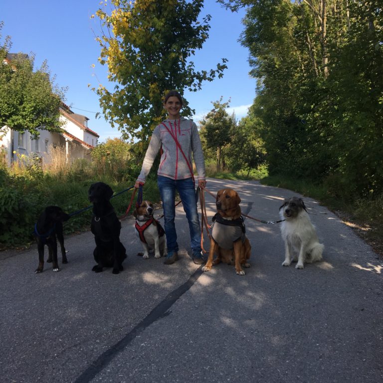 2823215688084868133426216461556858525 768x768