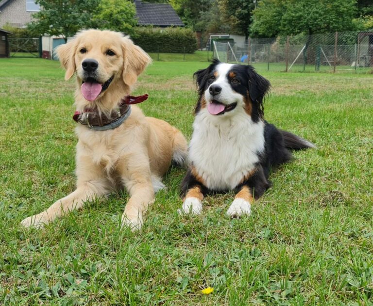 IMG 20220925 WA0022 768x631