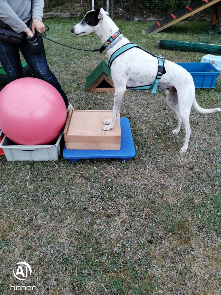 IMG 20200610 172642 768x1024